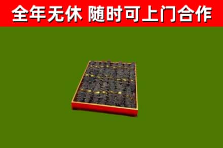 澎湖县回收海参